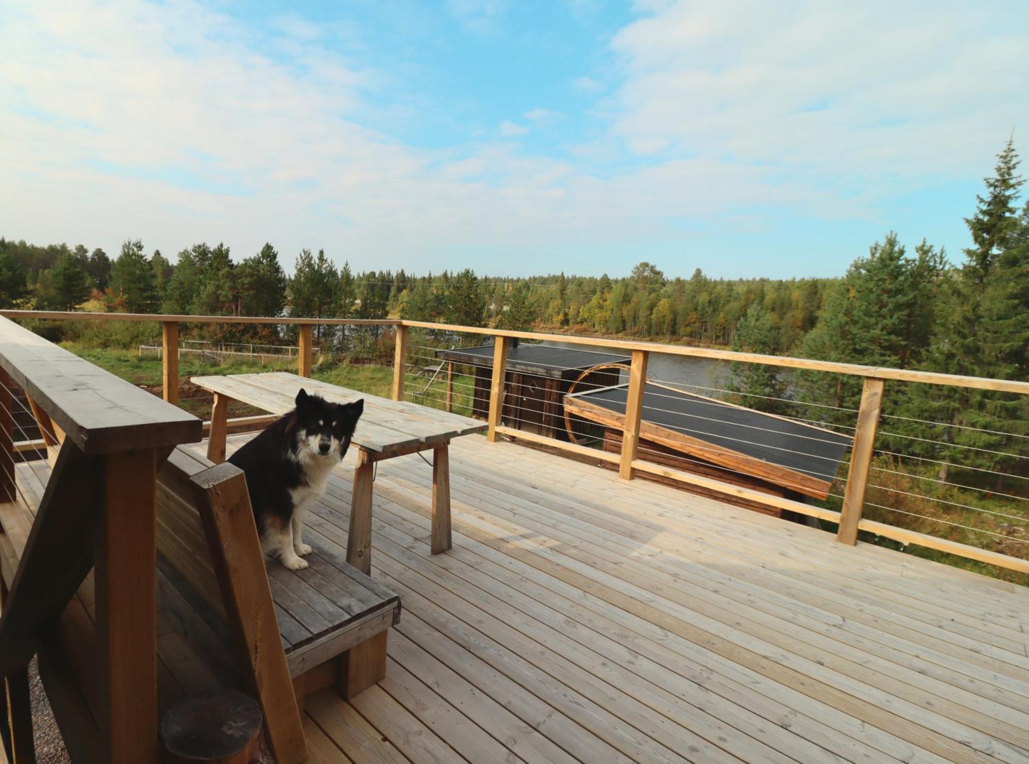 Cozy Cabin Styled Loft Kiruna Exteriör bild